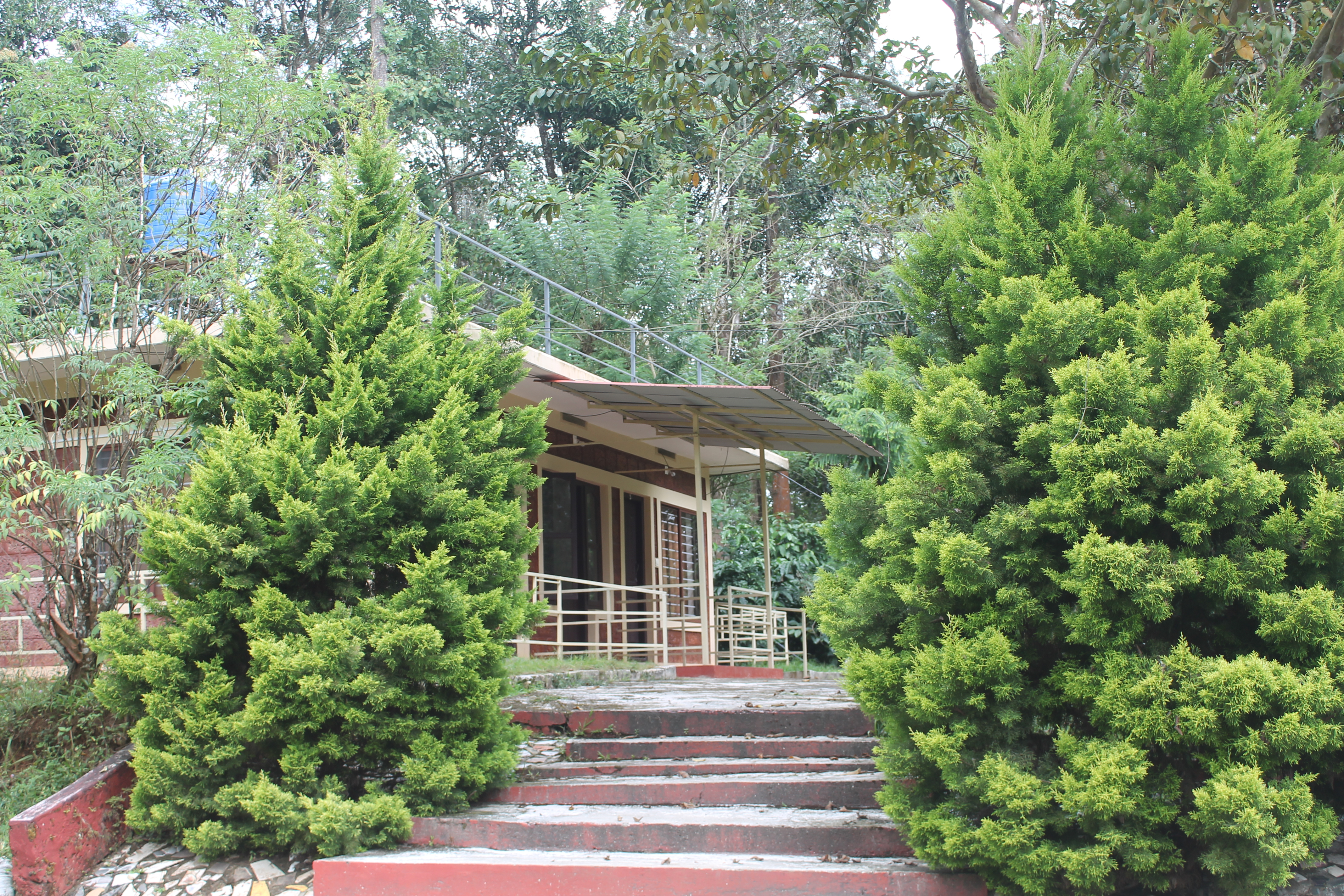 Woodside Homestay, Chethalayam, Wayanad